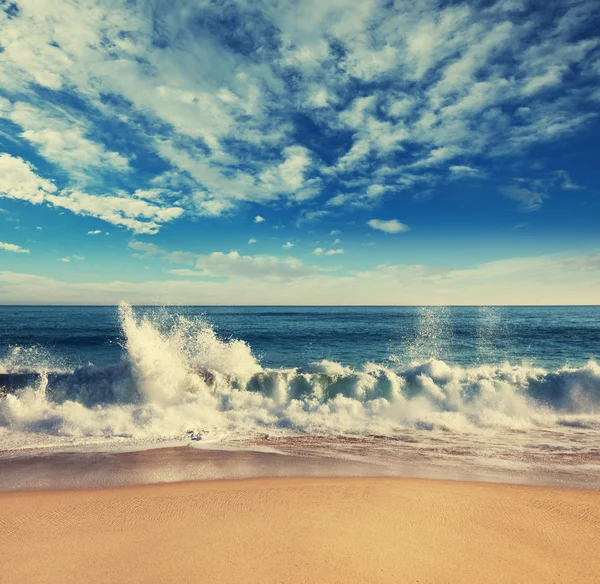 海のビーチ — ストック写真