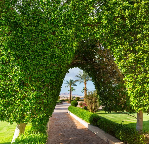 緑豊かな庭園 — ストック写真