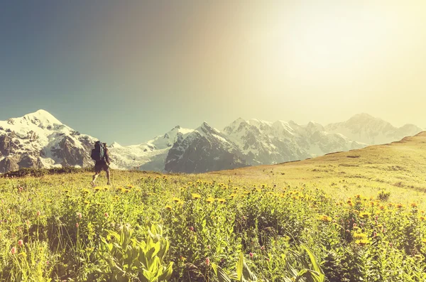 Wandelen in de bergen — Stockfoto