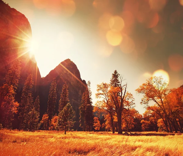 Herfst scène — Stockfoto