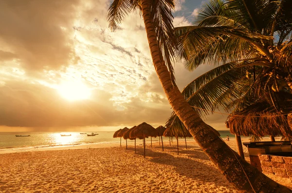 Spiaggia tropicale — Foto Stock