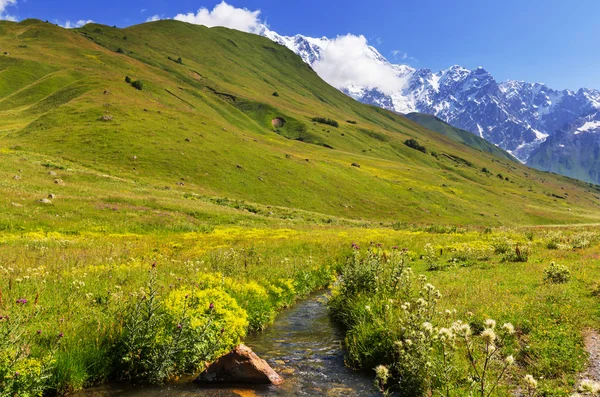 Кавказькі гори — стокове фото