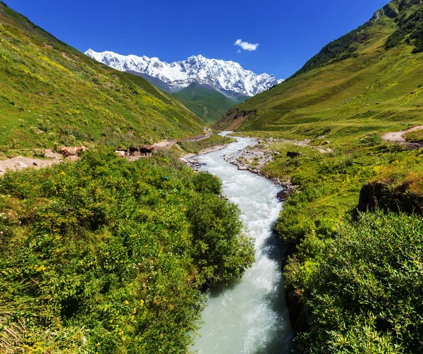 काकेशस पर्वत — स्टॉक फोटो, इमेज