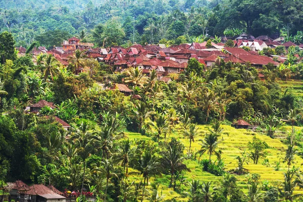 Indonésie paysages — Photo