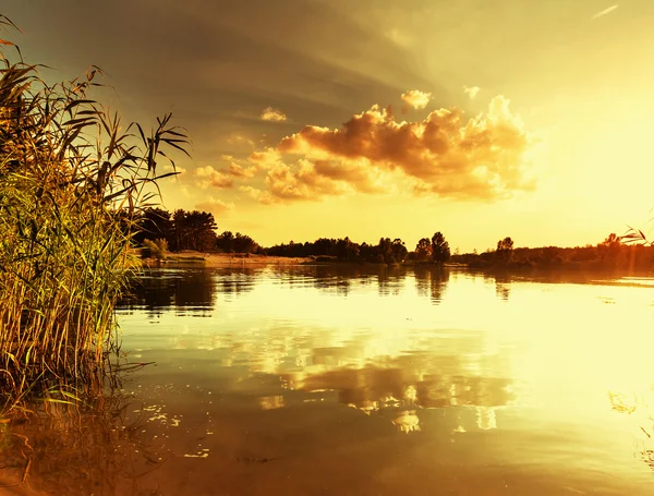 Lago de verão — Fotografia de Stock