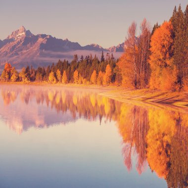 Grand Teton 'da Sonbahar