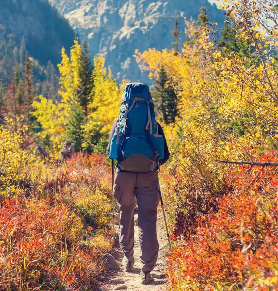 秋をハイキングします。 — ストック写真