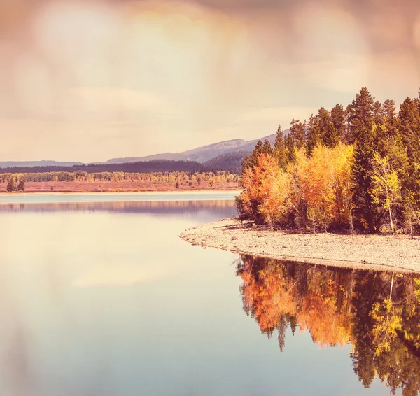 Осень в Гранд-Титоне — стоковое фото