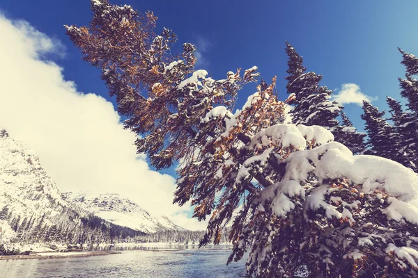 Gletsjerpark in de winter — Stockfoto