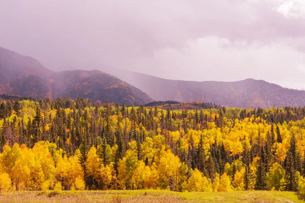 Autumn scene Stock Photo