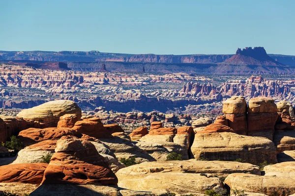 Canyonlands park — Stok fotoğraf