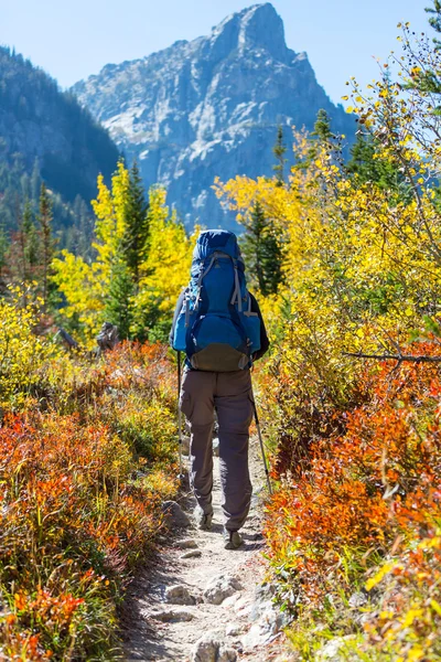 Wandelen in de herfst seizoen — Stockfoto