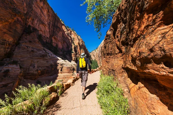 Výlet do zion — Stock fotografie