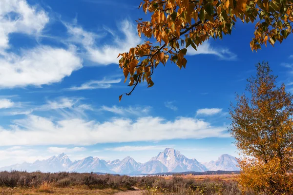 Hösten i Grand Teton — Stockfoto