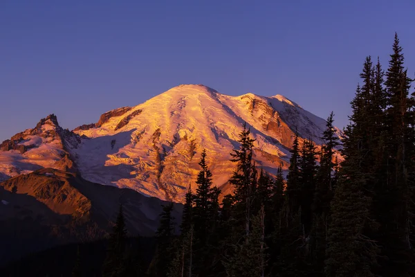 Mt.Rainier — Stock fotografie