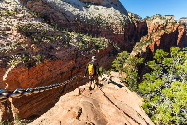 Hike in Zion — Stock Photo, Image