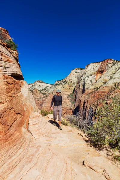 Hike in Zion — Stock Photo, Image