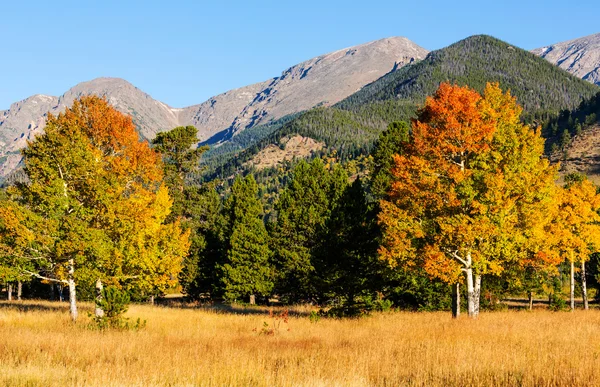 Autunno in montagna — Foto Stock