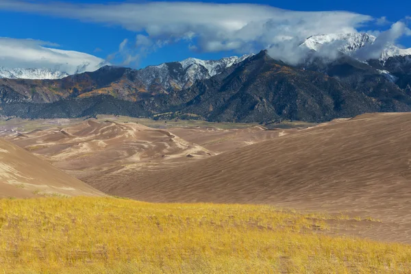 Grandes dunes de sable — Photo