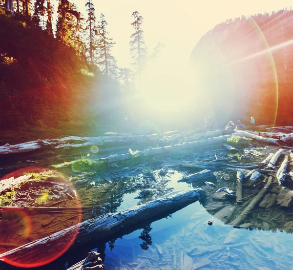 Lago di montagna — Foto Stock