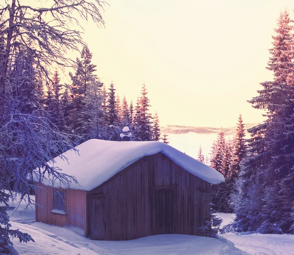 Cabaña de invierno — Foto de Stock