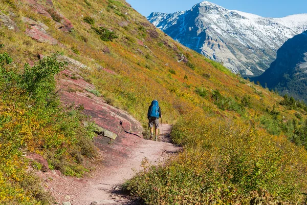 Hike in Glacier — Stock Photo, Image