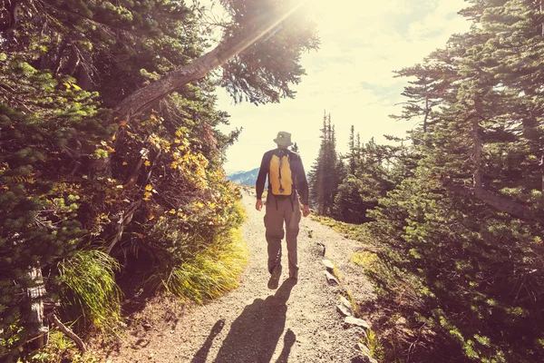 Wandelen in de bergen — Stockfoto