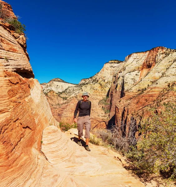 Wanderer in Zion — Stockfoto