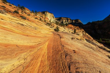 Zion national park