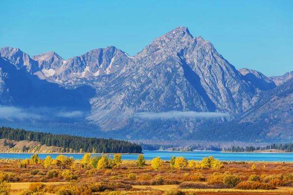 Autunno nel grande parco nazionale del teton — Foto Stock