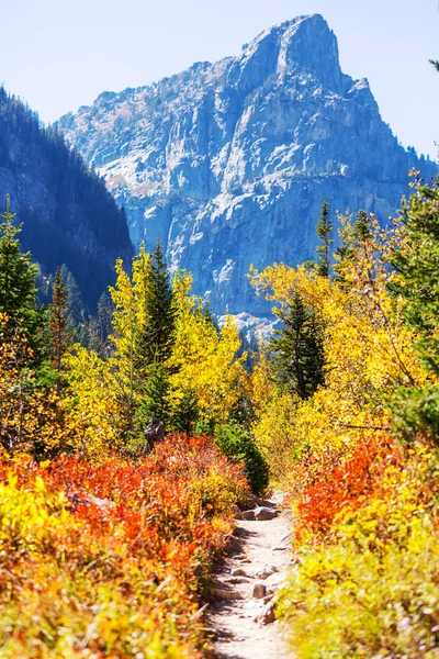 Outono em grande teton parque nacional — Fotografia de Stock