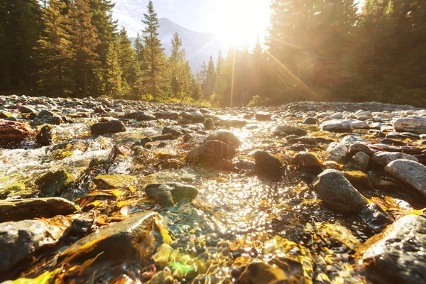 Glacier nationalpark — Stockfoto