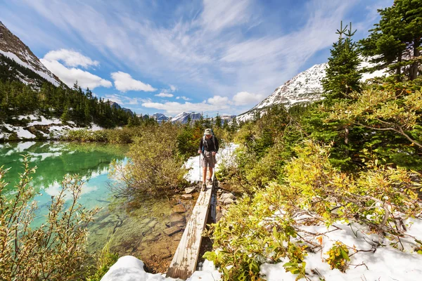 Escursionista nel Parco Nazionale del Ghiacciaio — Foto Stock