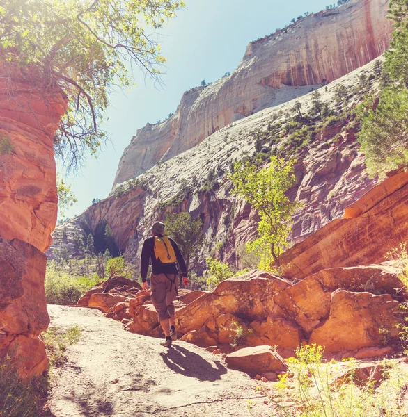 Vandrare i Zion national park — Stockfoto