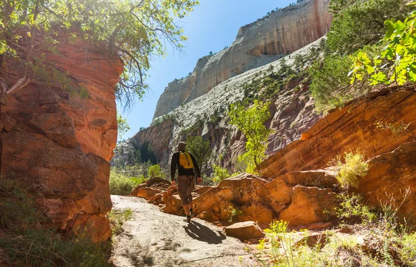 Caminhante no parque nacional de Zion — Fotografia de Stock