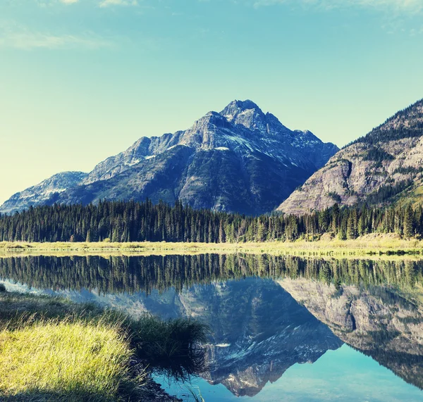 Glacier Park — Stockfoto