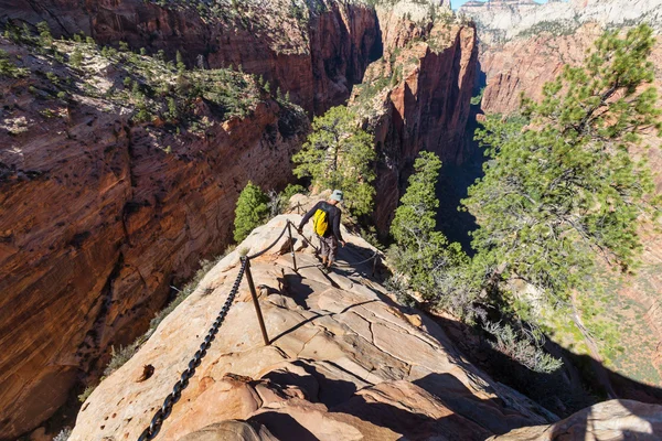 Wanderung in Zion — Stockfoto