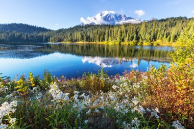Mt.Rainier