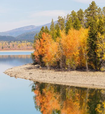 Grand Teton 'da Sonbahar