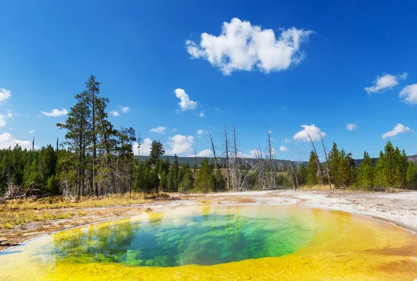 Morning glory pool — Stockfoto