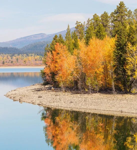 Podzim v Grand Teton — Stock fotografie