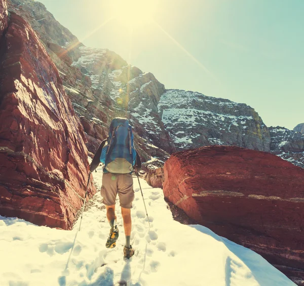 Hike in Glacier — Stock Photo, Image