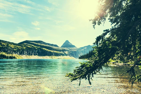 Glacier Park — Stockfoto