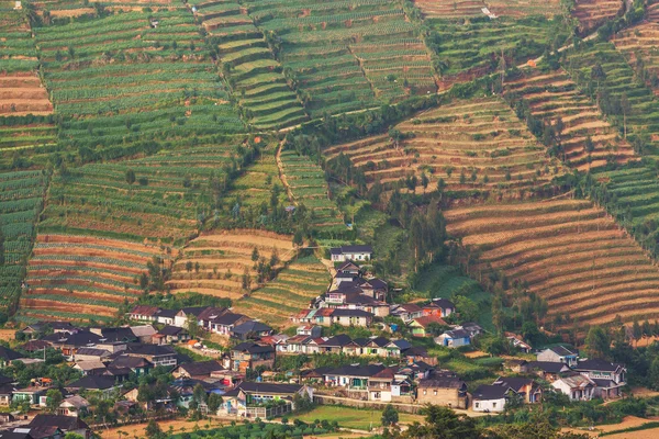 Feld in Indonesien — Stockfoto