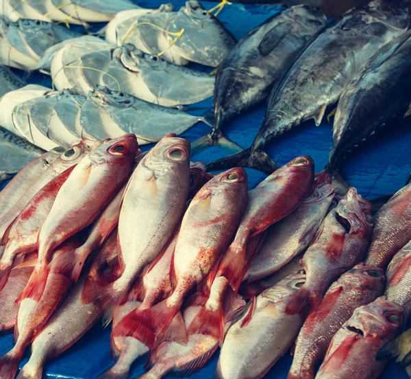 Рибний ринок — стокове фото