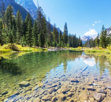 Grand Teton