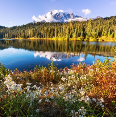 Mt.Rainier