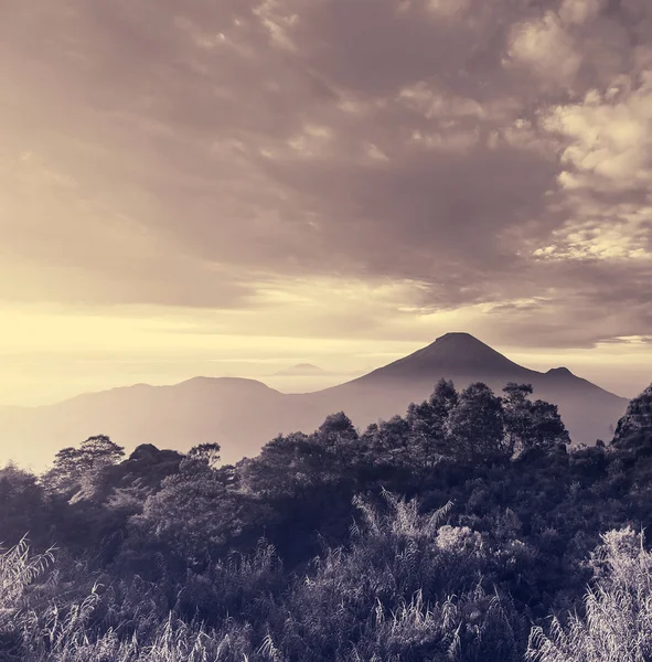 Java manzaralar — Stok fotoğraf