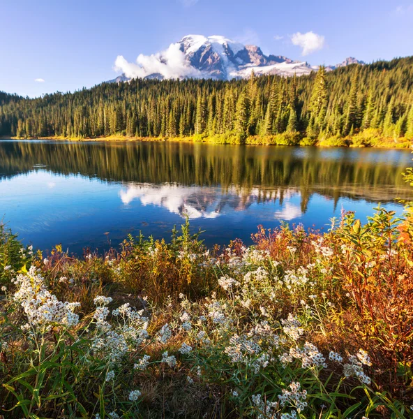 Il Monte Rainier — Foto Stock