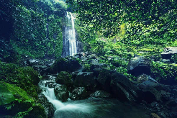Wasserfall in Indonesien — Stockfoto